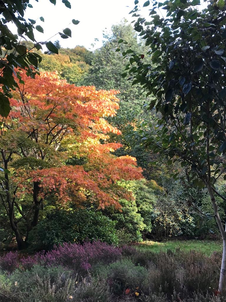 OCTOBER
